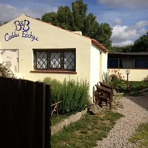 Codduecchju , Arzachena Italia